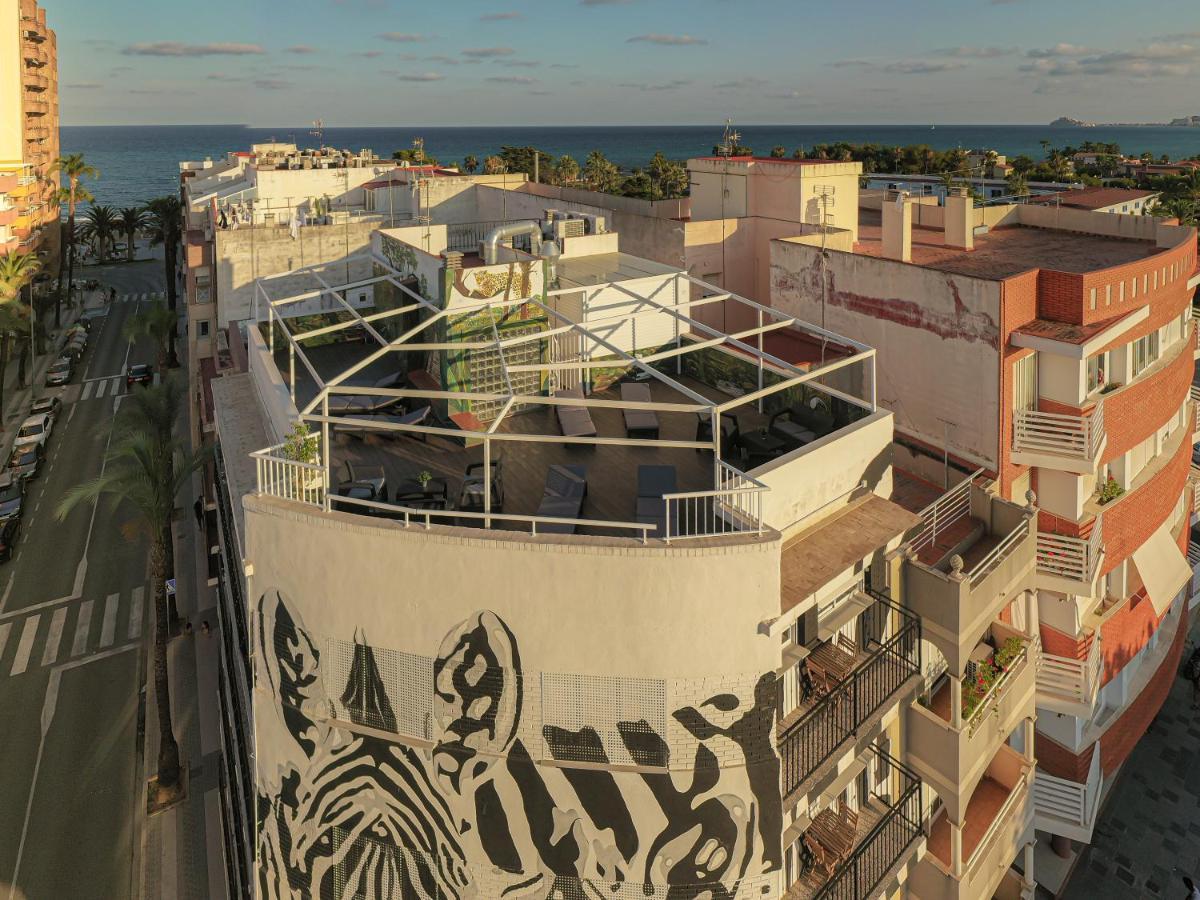Las Cebras Apartamentos Turisticos ベニカルロ エクステリア 写真